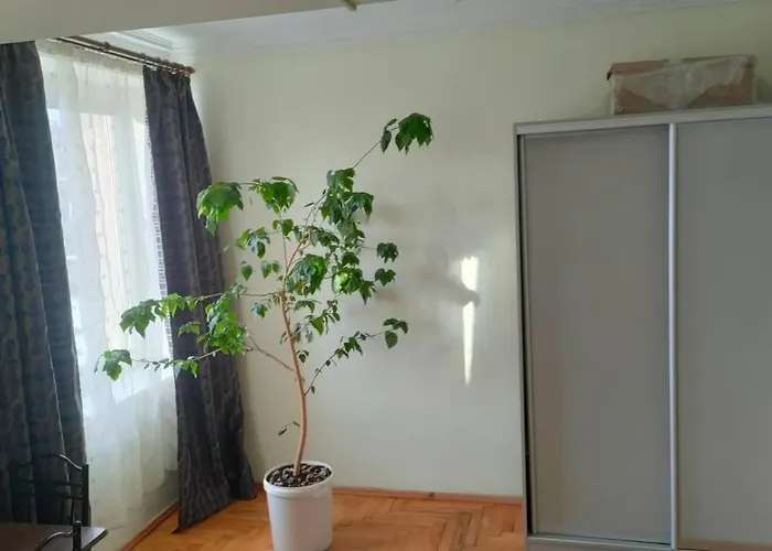 український дворик